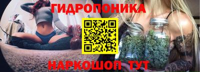 ECSTASY Заводоуковск
