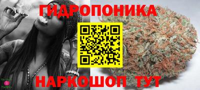 ECSTASY Заводоуковск