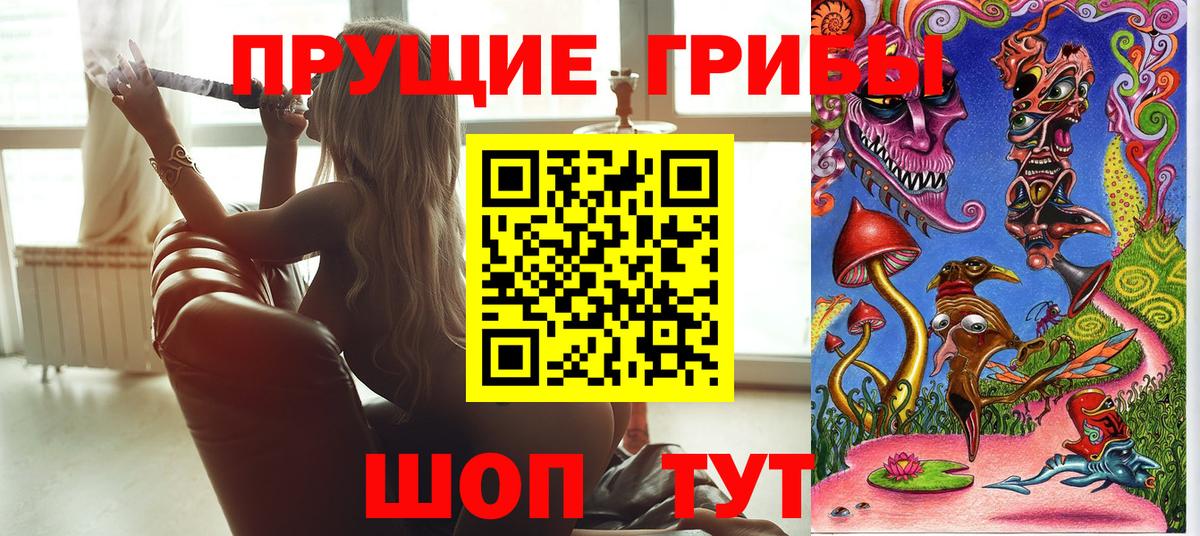 Галлюциногенные грибы Psilocybine cubensis Магнитогорск