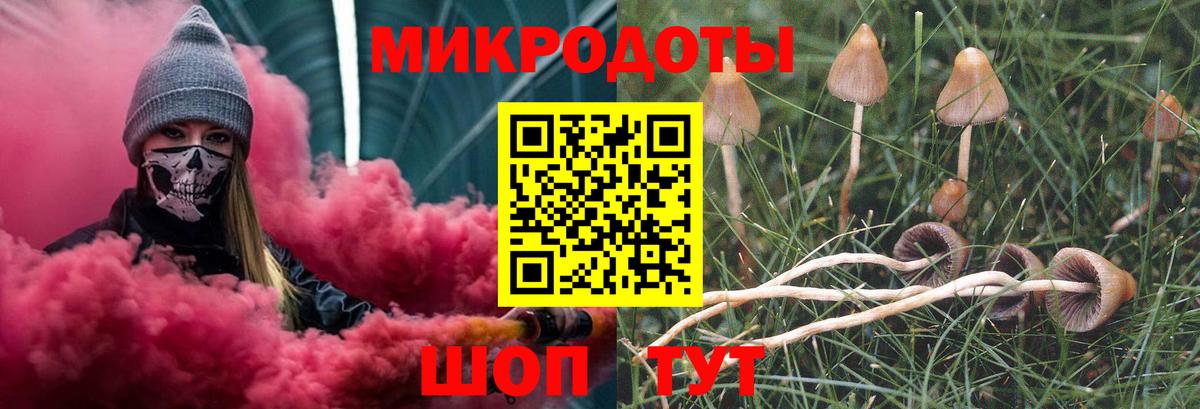 Псилоцибиновые грибы GOLDEN TEACHER  Вход с VPN  Магнитогорск 